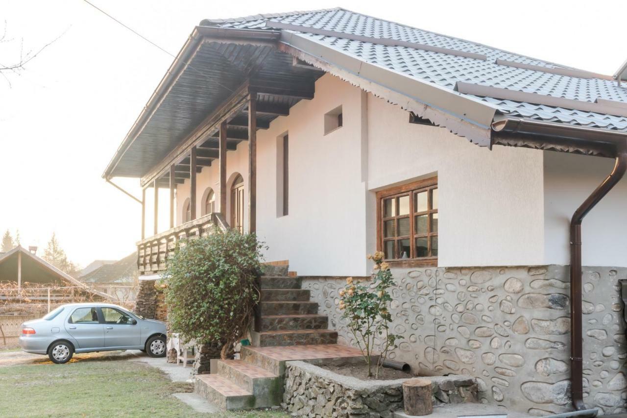Casa De Vacanta Mirela Novaci-Străini Екстериор снимка