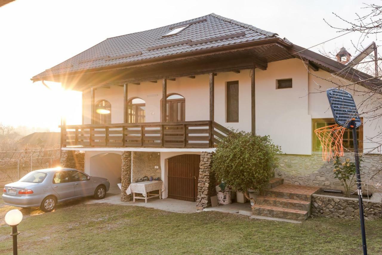 Casa De Vacanta Mirela Novaci-Străini Екстериор снимка