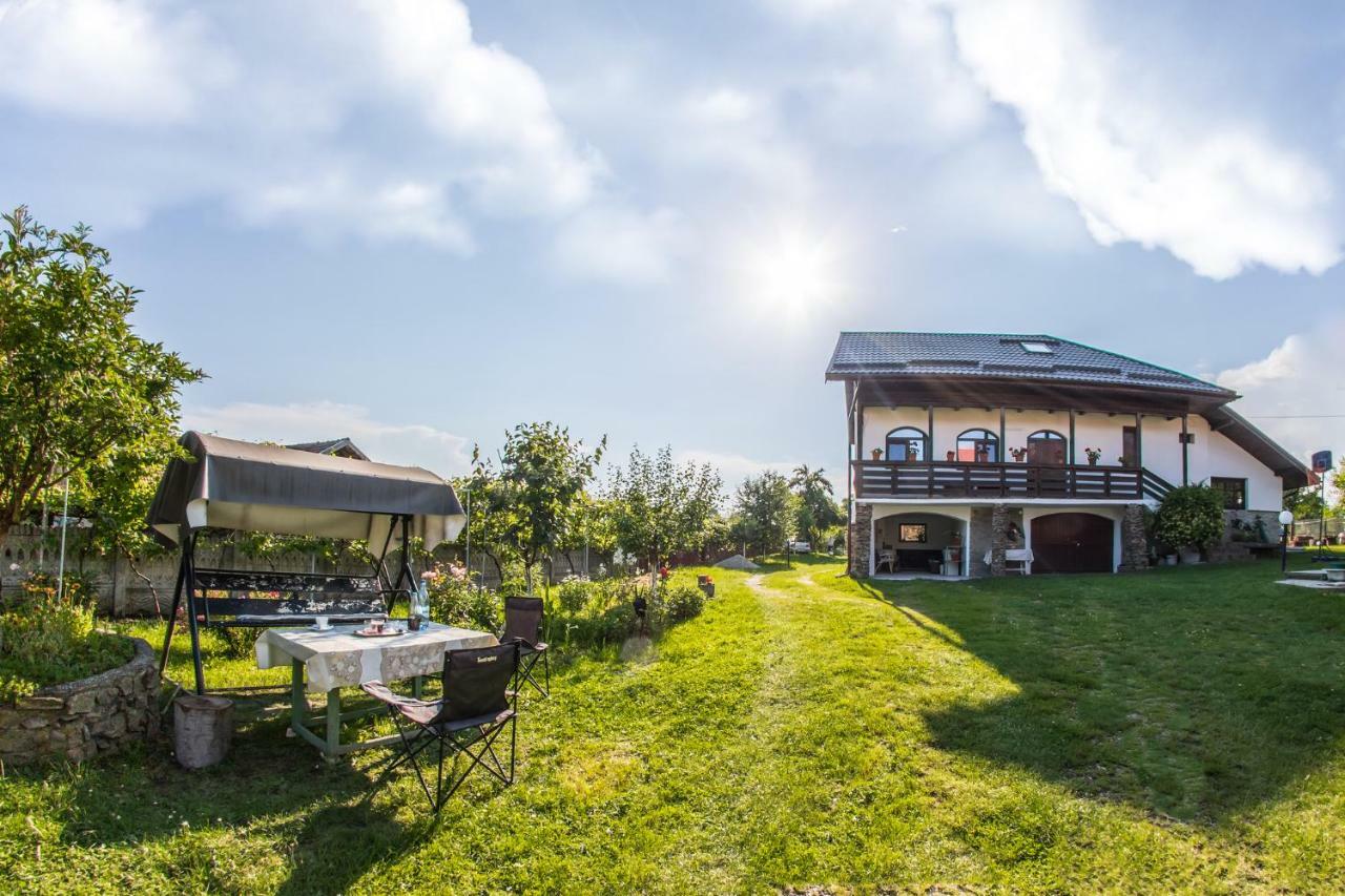 Casa De Vacanta Mirela Novaci-Străini Екстериор снимка
